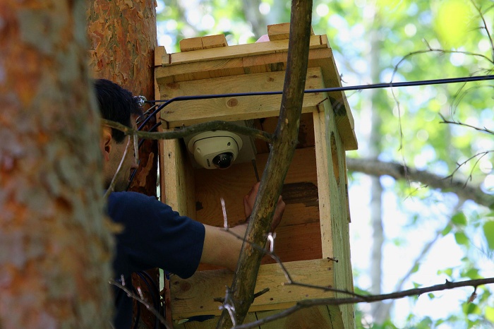 Установка камеры в гнездо