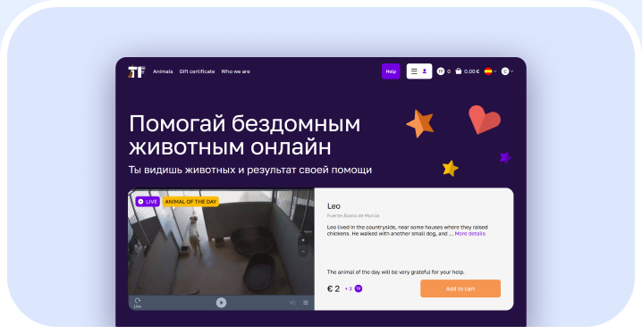 Teddy Food — страница с трансляцией из приюта для животных